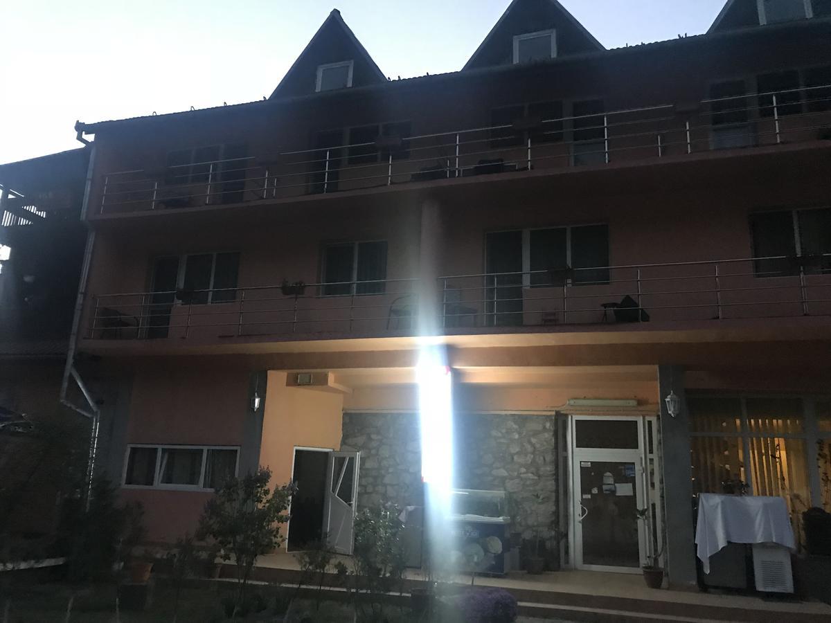 Hotel Vila Tanamera Moneasa Exteriér fotografie